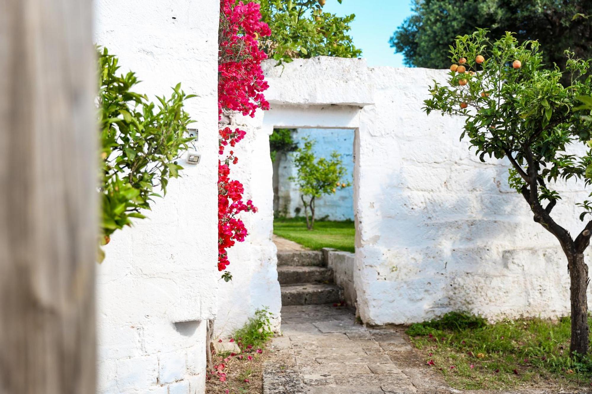 Masseria Piccole Taverne Rosa Marina Exterior foto