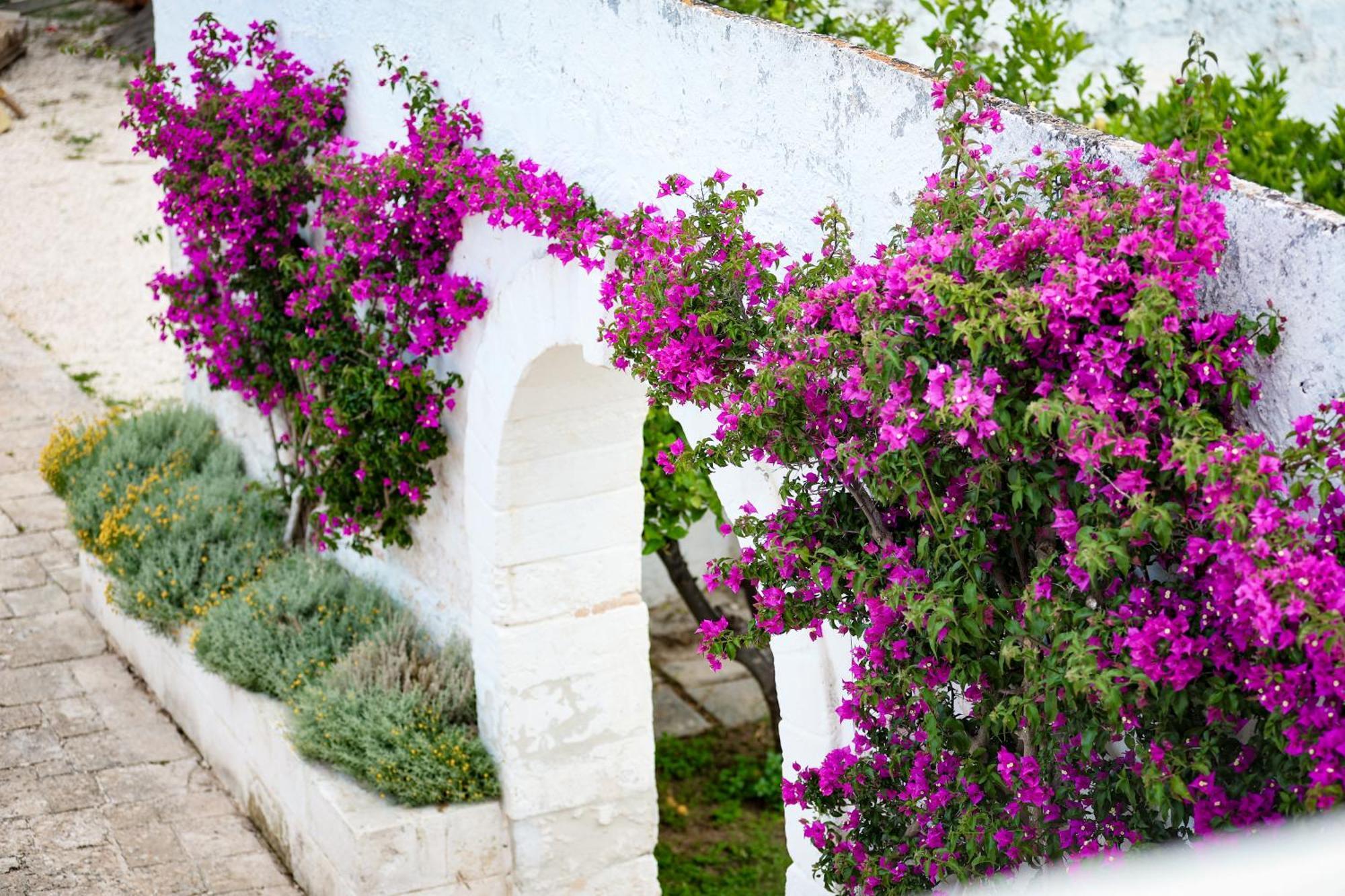 Masseria Piccole Taverne Rosa Marina Exterior foto
